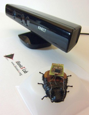 Cucarachas y Kinect que combinacion