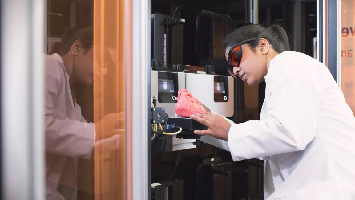 Resultado de imagen de organos impresos en 3d planear