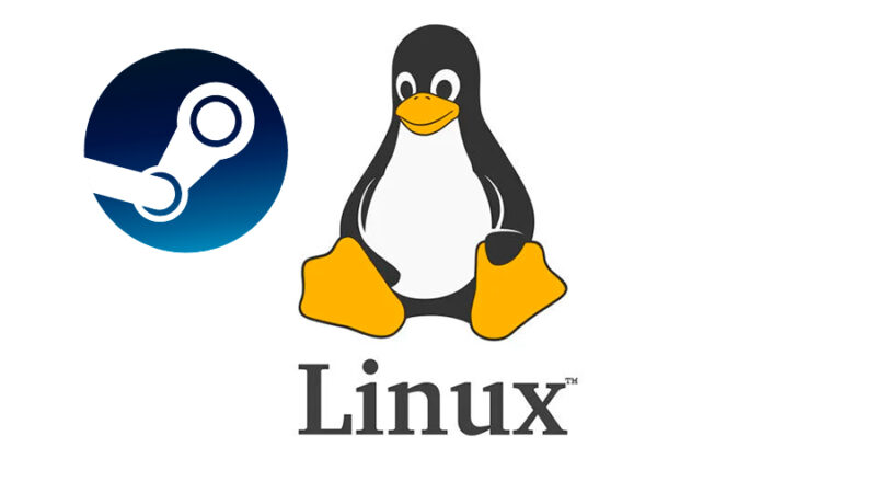 Linux supera por primera vez el 3% de cuota en Steam y marca un nuevo récord